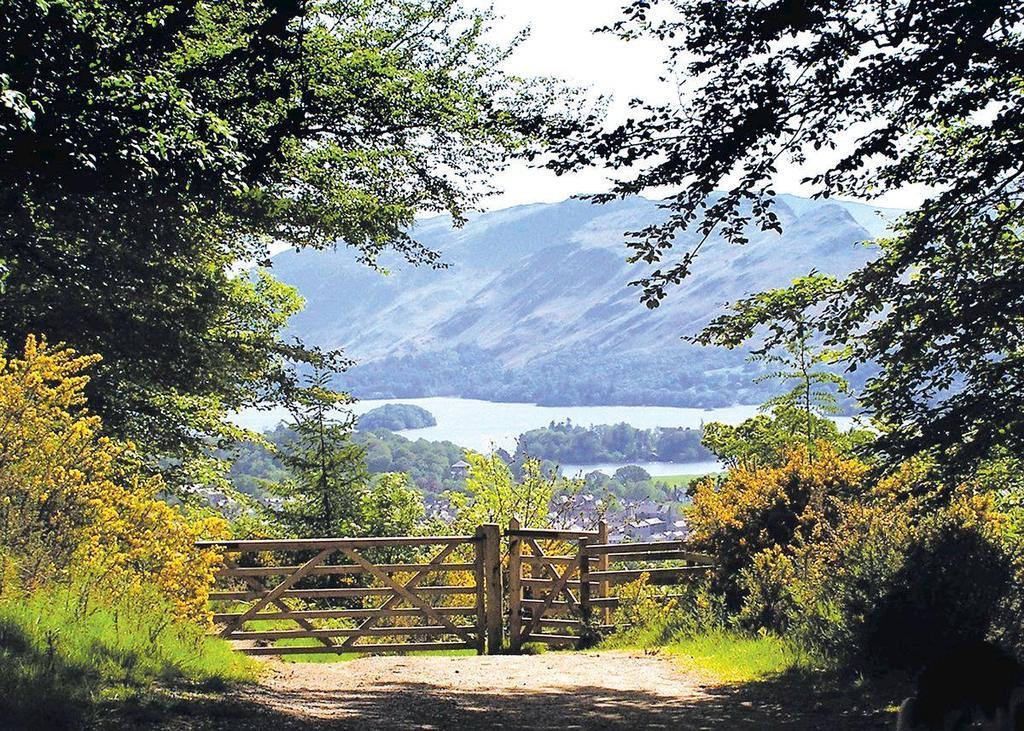 Pound Farm Lodges クルック エクステリア 写真